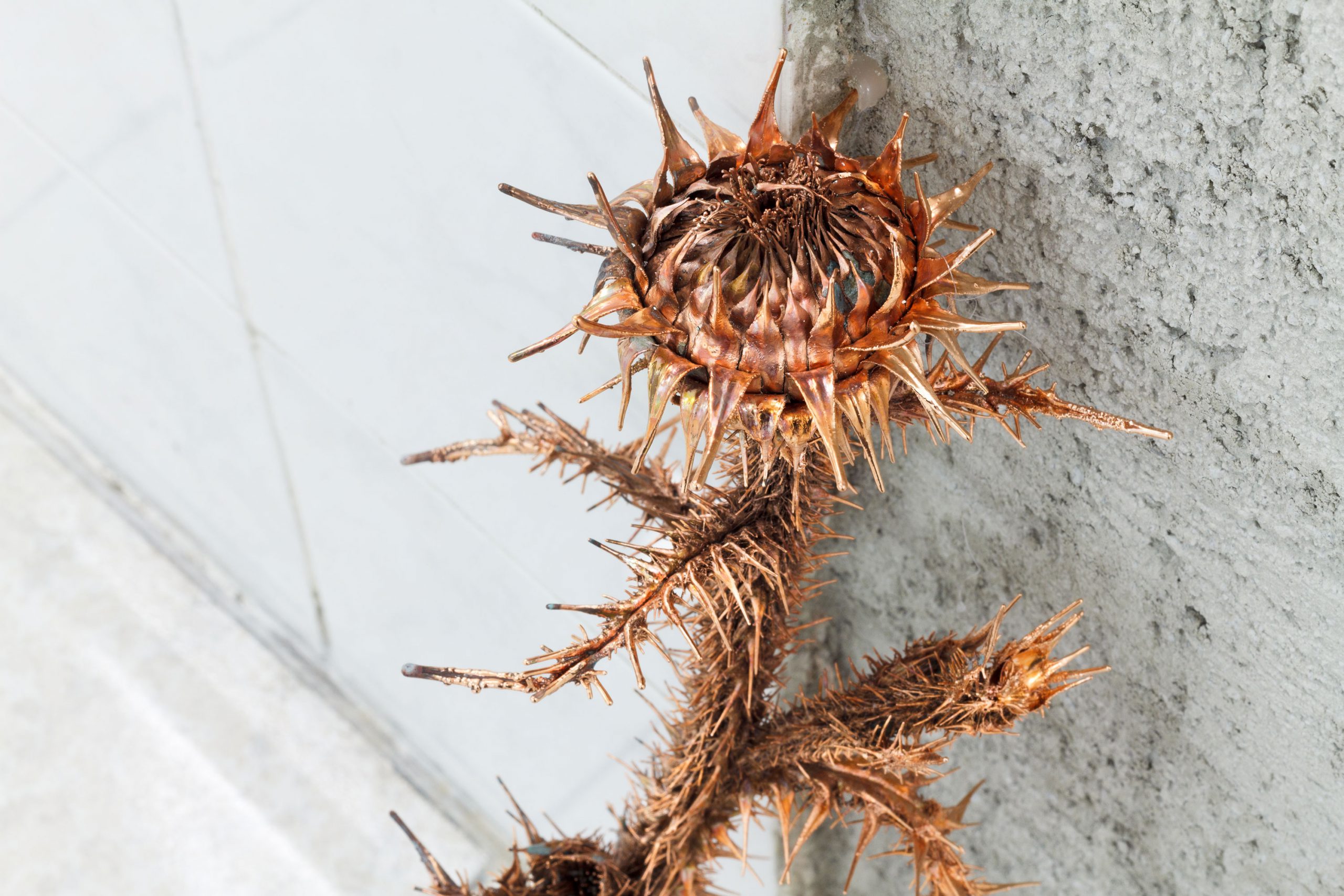 Lito Kattou, Flower II, 2019, electroformed copper, dimensions variable, courtesy the artist and T293, Rome, photo: Elena Radice