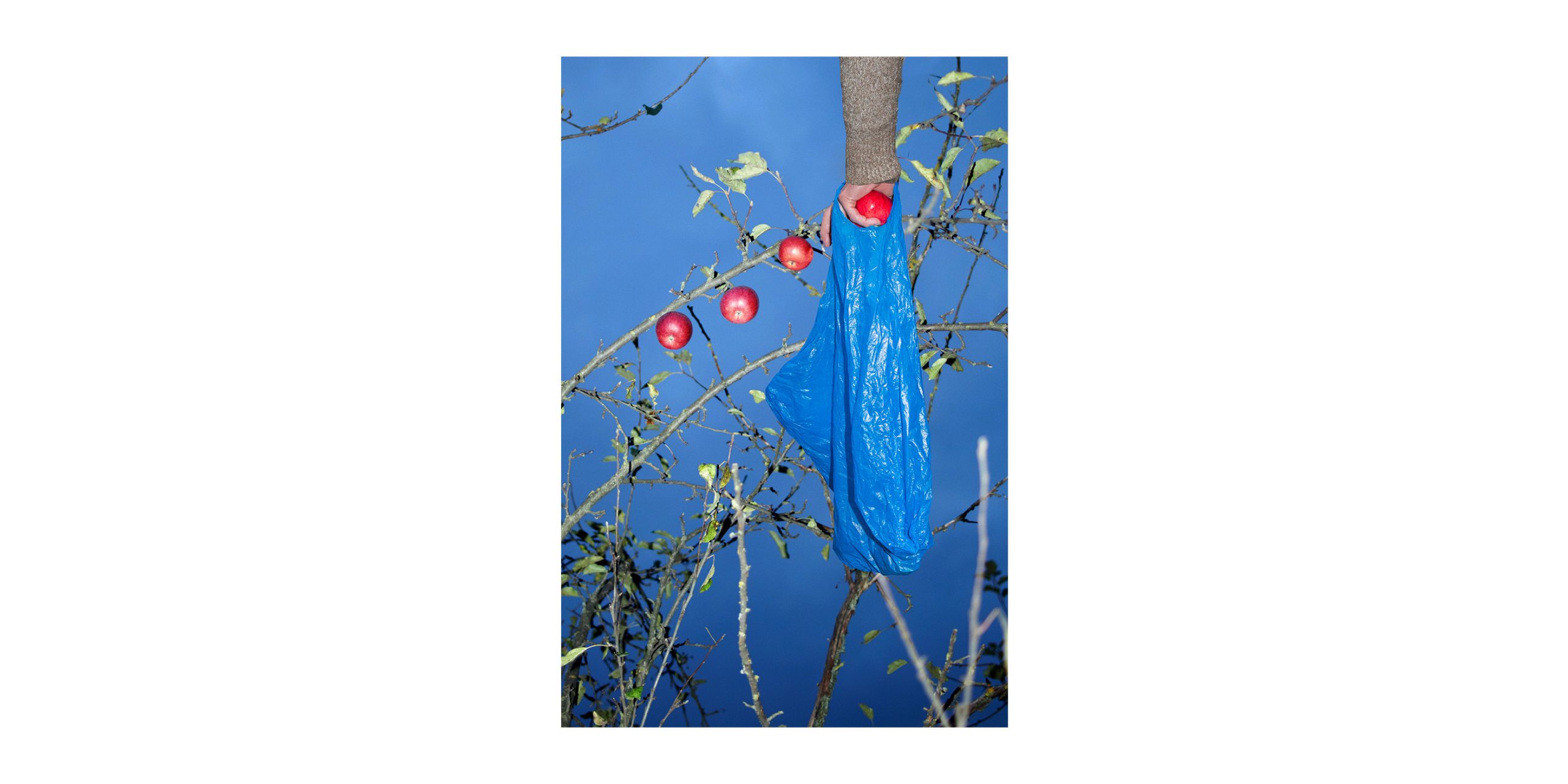 Elena Subach, Grandmothers on the Edge of Heaven, 2018–20 © Elena Subach